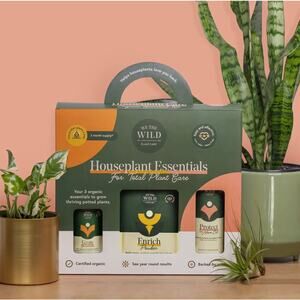 We The Wild Houseplant Essentials Care Kit